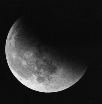 20070406045201-luna.jpg